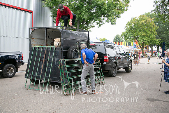 IMG_5047