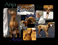 Anja1
