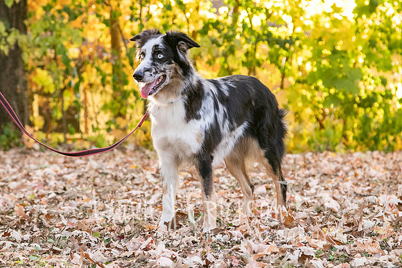 IMG_3165