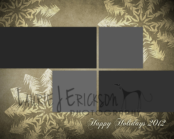 photobacks-holiday-2012