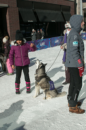 IMG-3274