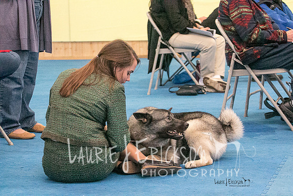 IMG-5369