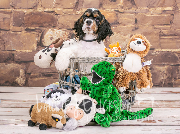 IMG_4483