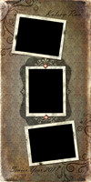 C 10x20 Polaroid collage