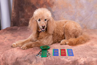 IMG-0626