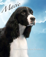 Macie Heaven final 2