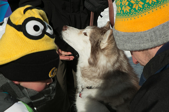 IMG-3364