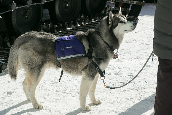IMG-3355